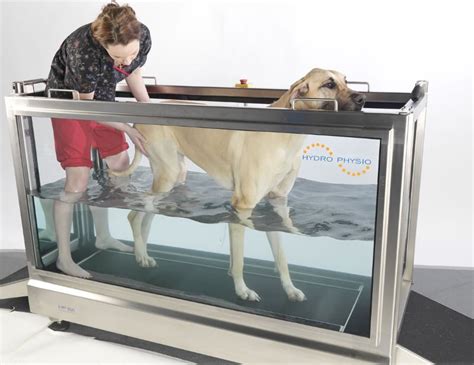 North Wales Coasts 1st dog hydrotherapy treadmill! - a Business crowdfunding project in Colwyn ...