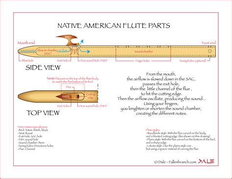 Flute Diagram And Care Instructions