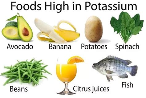 The 5 Best Food Sources of Potassium and Why to Add Them in Your Diet