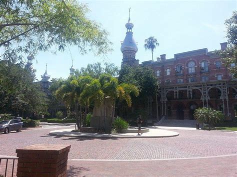 UNIVERSITY INN DOWNTOWN TAMPA (Tampa, FL) - foto's en reviews - Tripadvisor