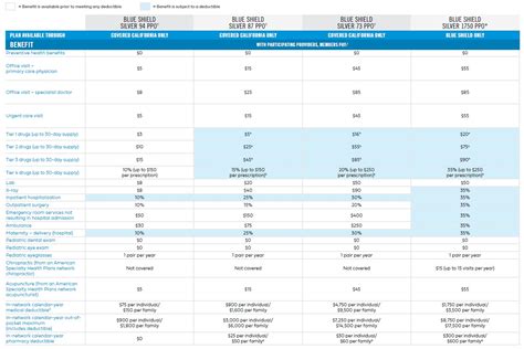 Blue Shield Summary Of Benefits 2025 - Lorrai Nekaiser