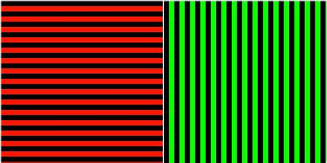 McCollough effect optical illusion explained - Business Insider