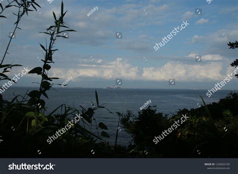 Sarushima Island Yokosuka City Tokyo Bay Stock Photo 1220653195 ...