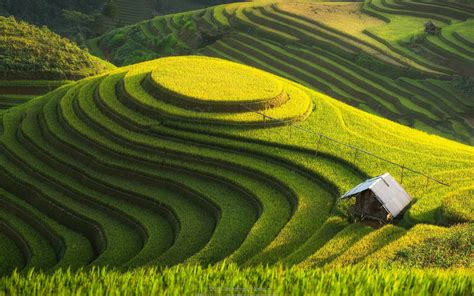 Stunning HD Wallpaper of Man-Made Rice Terraces