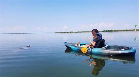 Cocoa Kayaking Manatee & Mangrove Tunnel Tour in Orlando: Book Tours & Activities at Peek.com