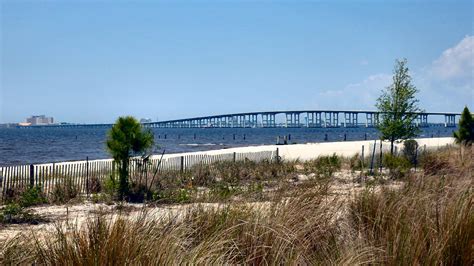 All Biloxi, Mississippi beaches closed for July 4 as algae spreads