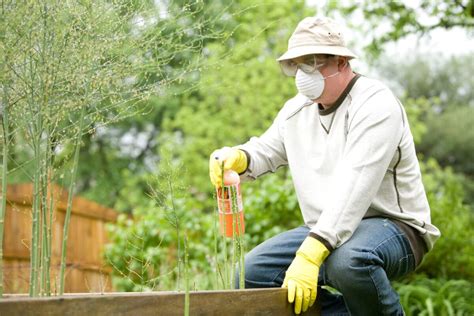 Using Organic vs Targeted Chemicals in Your Garden | Greener Ideal