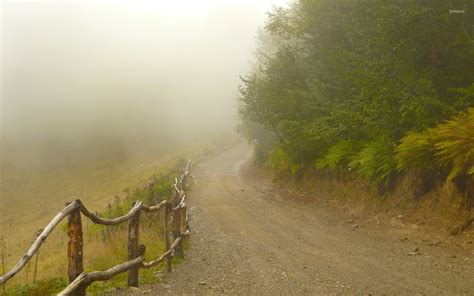 Foggy path by the forest wallpaper - Nature wallpapers - #37848