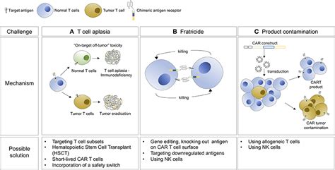 Frontiers | CAR-Based Approaches to Cutaneous T-Cell Lymphoma