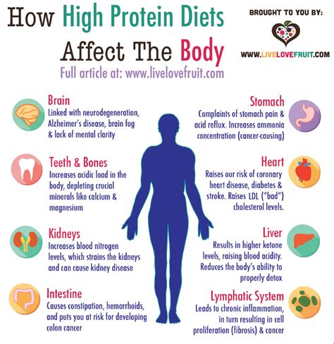 How A High Protein Diet Affects The Body - Live Love Fruit