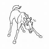 Spirit Horse Stallion Of The Cimarron Coloring Pages sketch template