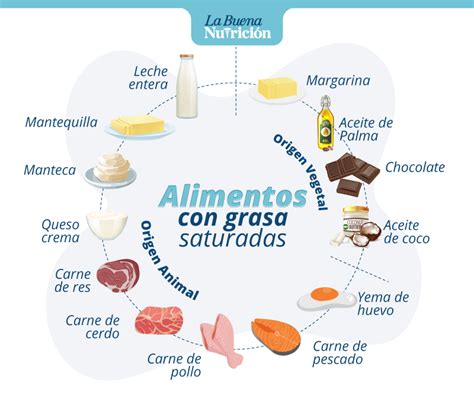 Qué Son Las Grasas Saturadas - Tipos, Ejemplos E Información