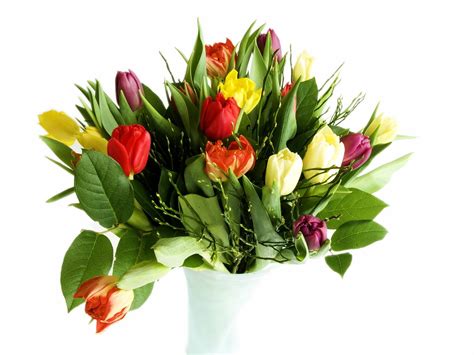 Assorted color Tulip flower arrangement HD wallpaper | Wallpaper Flare