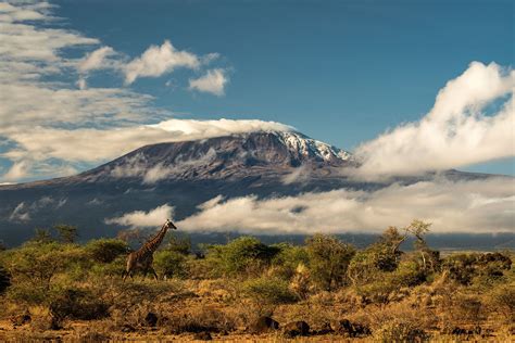 Morning clouds clear from Mount Kilimanjaro from Amboseli National Park ...