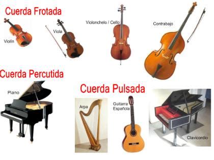 Ortodoxo virtual Borde tipos instrumentos musicales de cuerda Cantidad ...