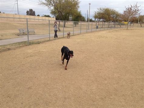 Goodyear Community Park Dog Park, Avondale, AZ, Parks - MapQuest