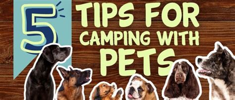 5 tips for Camping with Pets | Papoose Pond Campground and Cabins