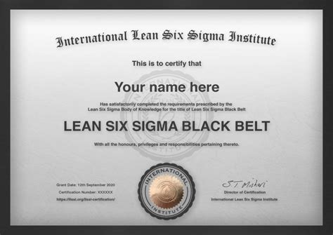 ENVISO lean six sigma black belt