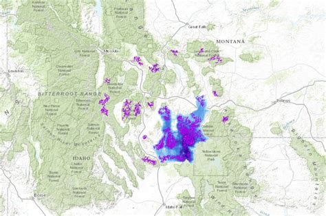 Montana Grizzly Bear Numbers Map