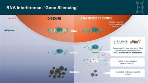 Silence Therapeutics - Patients - Gene Silencing Explained - Gene ...