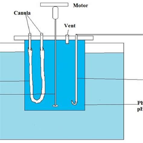 In vitro absorption using everted gut sac method | Download Scientific Diagram