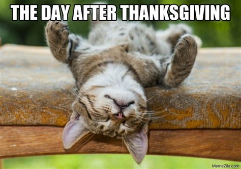 Day After Thanksgiving Memes - MemeZila.com