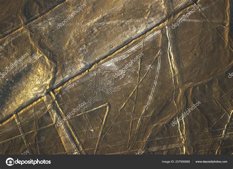 Spider Nazca Lines Peru Stock Photo by ©YAYImages 257906988