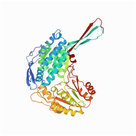 RCSB PDB - 1AG8: ALDEHYDE DEHYDROGENASE FROM BOVINE MITOCHONDRIA