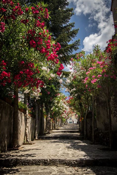 Ravello, Italy (by Tim and Elisa) | Beautiful places, Wonders of the world, Ravello italy