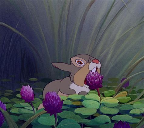 Bambi And Thumper Wallpaper