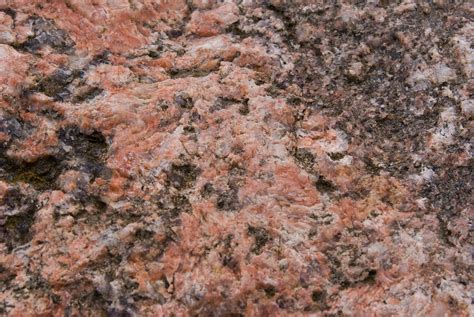 Closeups of SYENITE rock from Polish coast Free Photo Download | FreeImages