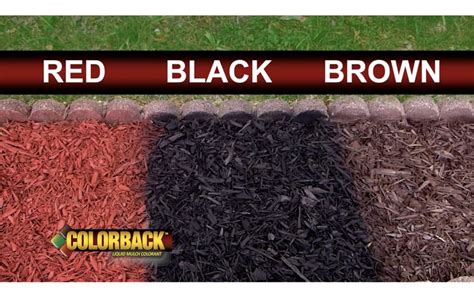 Amazon.com : COLORBACK Mulch Liquid Color Concentrate, 6,400 Square ...