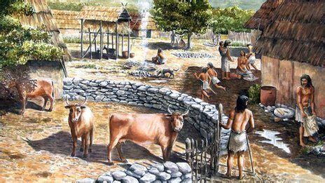 Neolithic farmers used manure on crops | Neolithic, Prehistory, Stone age