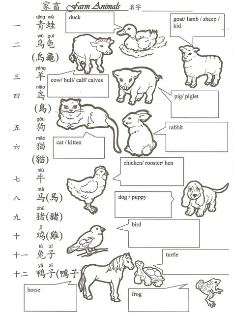 Hua Hua Fun Language Class教學三百六十度 | Mandarin chinese learning, Chinese lessons, Learn chinese