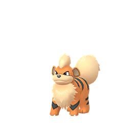 Growlithe (Pokémon GO) - Best Movesets, Counters, Evolutions and CP