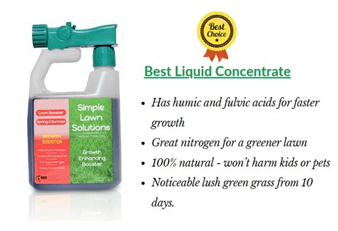 7 Best Fertilizer for St. Augustine Grass [High Nitrogen, Liquid + Granular] | CG Lawn