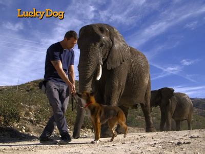 Watch Lucky Dog Episodes | Season 1 | TVGuide.com