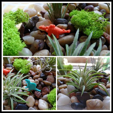 April's Homemaking: Easy Air Plant Terrariums