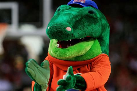 Florida Gators take their mascot a little too literally