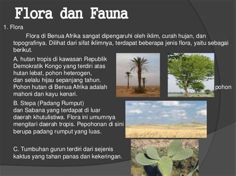 40+ Gambar Flora Dan Fauna Di Benua Amerika, Koleksi Spesial!