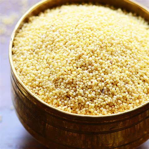 Foxtail Millet - 1Kg (Korralu) (Kangni) (Thinai) (Navane) – Chirukaanuka