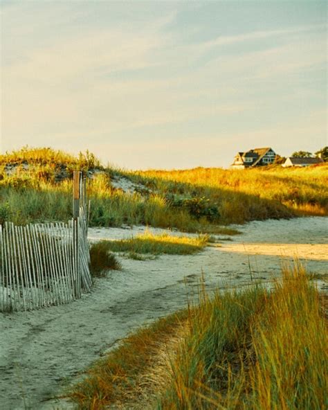 AutoCamp Cape Cod | Glamping Goes Coastal | Cape cod, Glamping, Coastal