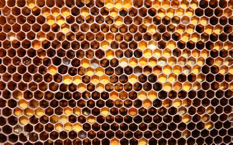 Honeycomb Desktop Wallpapers Group (72+)