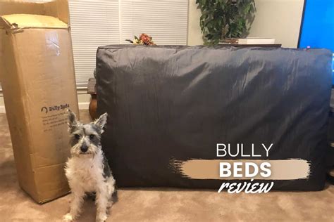 Bully Beds Review 2022: The Best Bed For Large Dogs? Heavy Chewers? - Canine Bible