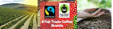 8 Fair Trade Coffee Brands That Support Social And Environmental Efforts - 2024 | BigCupOfCoffee.com