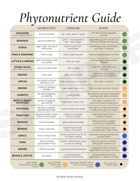 Phytonutrient Guide Handout — Functional Health Research + Resources — Made Whole Nutrition