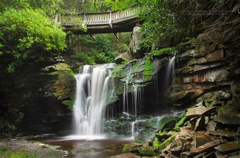 Elakala Falls, Blackwater Falls State Park - Alan Majchrowicz