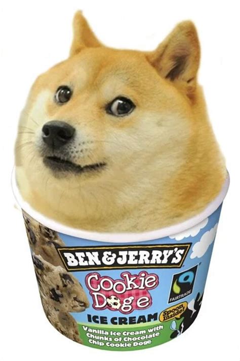 Cookie Doge | Doge | Know Your Meme