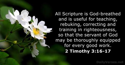 2 Timothy 3:16-17 - Bible verse - DailyVerses.net