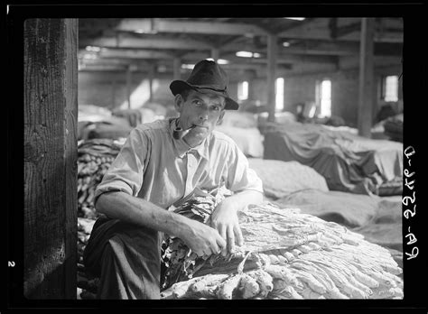 15 Rare Photographs Show The History Of The Tobacco Industry In North Carolina